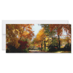 Village Street in Autumn Full Color Rack Card