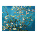 Vincent van Gogh, arbre d'amande de floraison Carte Postale