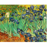 Vincent van Gogh,Irises Photo Sculptures