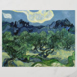 Vincent van Gogh's Olive Trees (1889) Full Color Flyer