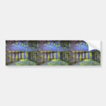 Vincent van Gogh's Starry Night Over the Rhone Bumper Stickers