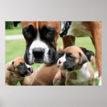 Vindy and Pups-9