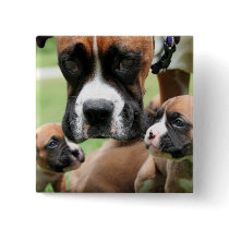 Vindy and Pups - Photo 09