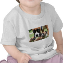 Vindy and Pups - Photo 09