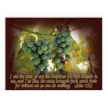 Vine and Branches John 15:5 Poster Print posters