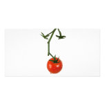 Vine tomato photo cards