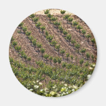 Vines In Field Fridge Magnet