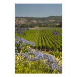 Vineyard and Purple Flowers Photography Print