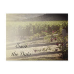 Vineyard and Rose Fence Wedding Save the Date postcards