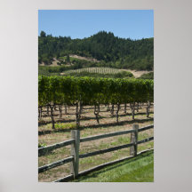 Vineyard Grape Fields Poster Print