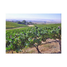 Vineyard Grapes Canvas Prints