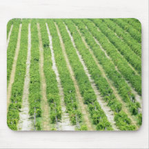 Vineyard Mousepad