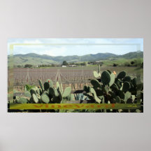 vineyard print