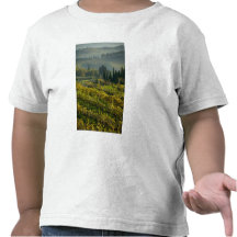 Vineyard, Tuscany, Italy Tshirt