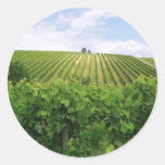 Vineyard - Vignoble Stickers