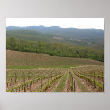 Vineyards Poster