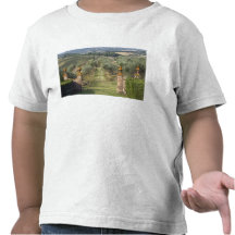 Vineyards, Tuscany, Italy Tee Shirt