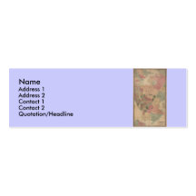 Vintage 1872 Brooklyn Map - New York City, Queens Business Cards