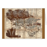 Vintage 1879 Lower Saranac Lake Reconnaissance Map Greeting Card