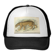 vintage 19th century jaguar illustration mesh hat