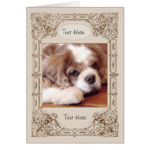 Vintage 3 Way Folio - Cards