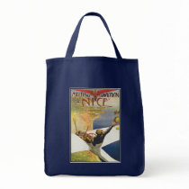 Vintage Airplane art:  Meeting d'Aviation Bag