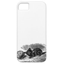 Vintage Alice in Wonderland black cat book drawing iPhone 5 Case