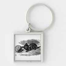Vintage Alice in Wonderland black cat book drawing Key Chain