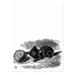 Vintage Alice in Wonderland black cat book drawing Post Cards