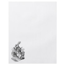 Vintage Alice in Wonderland the White Rabbit Watch