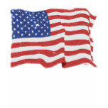 Vintage American Flag W t-shirts