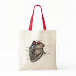 Vintage Anatomical Heart Diagram bags