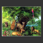 Vintage Animals Postcard postcards