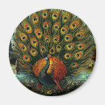 Vintage Antique Colourful Peacock Fridge Magnets