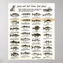 Vintage Antique Sportsmens' Fishing Chart - Print