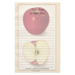 Teacher Stationery