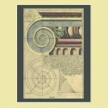 Vintage Architecture; Capital Volute by Vignola postcards