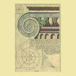 Vintage Architecture; Capital Volute by Vignola posters