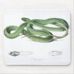 Vintage Art Collection Mousepads
