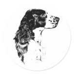Vintage Art English Springer Spaniel Dog Sticker