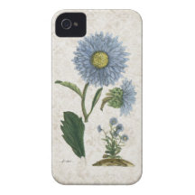 Vintage Aster flower on grunge damask background iPhone 4 Covers