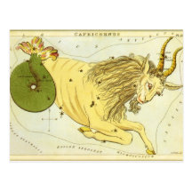 Vintage Astrology Capricorn Constellation Zodiac Postcard