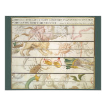Vintage Astronomy Celestial Map Zodiacus Stellatus Announcements