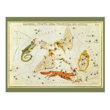 Vintage Astronomy, Star Chart, Constellations Map Postcards
