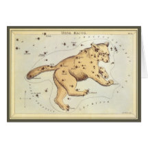 Vintage Astronomy, Ursa Major Constellation, Bear Cards