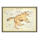 Vintage Astronomy, Ursa Major Constellation, Bear Custom Invite