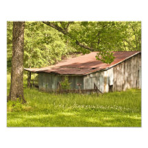 Vintage Barn in Spring Green - Tennessee Art Photo