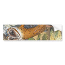 Vintage Barn Owl Painting Bumper Sticker