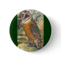 Vintage Barn Owl Painting Buttons