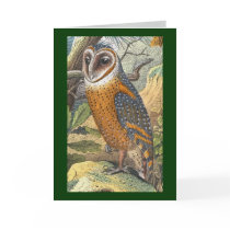 Vintage Barn Owl Painting Greeting Card